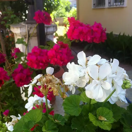 Besik Hotel Fethiye