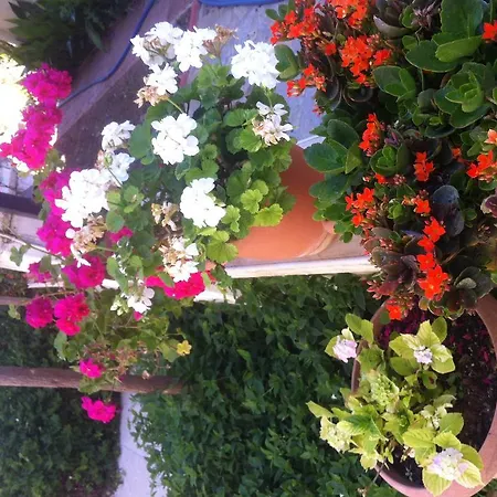 Besik 3* フェティエ