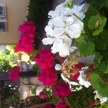 Besik Hotel Fethiye