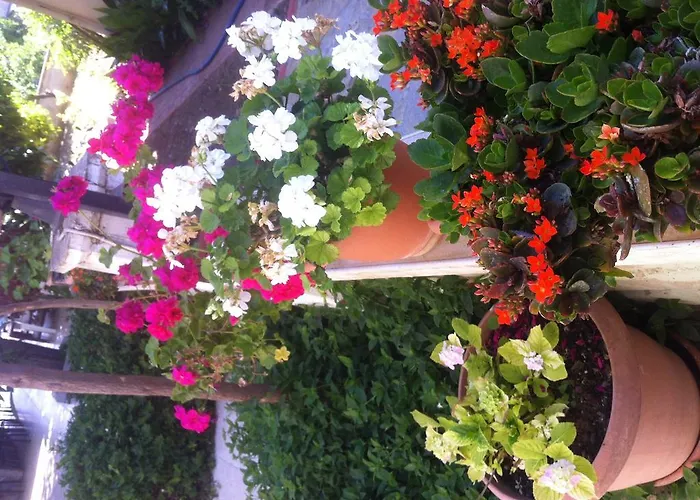 Besik 3* Φετιγιέ