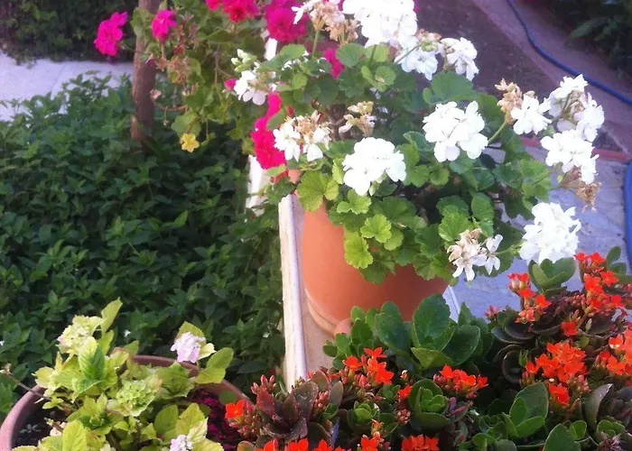 Besik Ξενοδοχείο