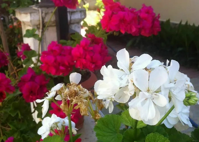 Besik Отель Фетхие